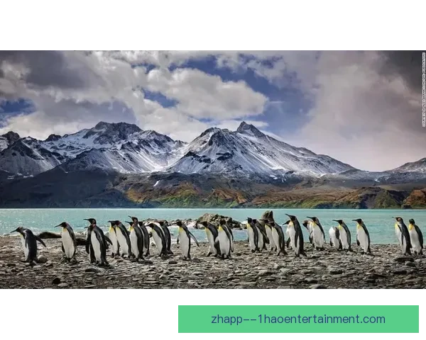 隆东加盟墨西哥帕丘卡重启职业生涯迎来新高峰